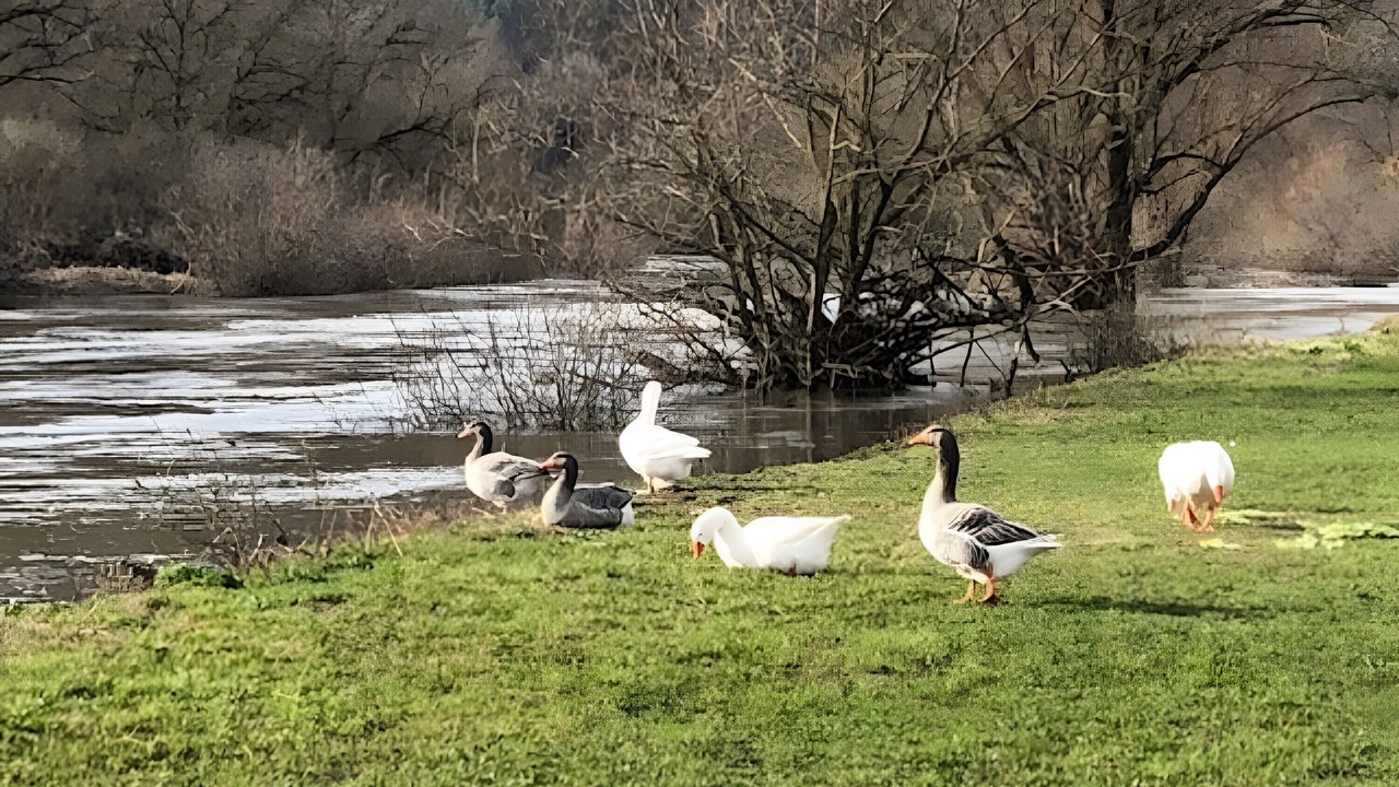 Photo of Others in Kemmern