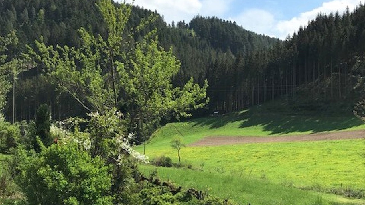 Photo of Others in Hornberg