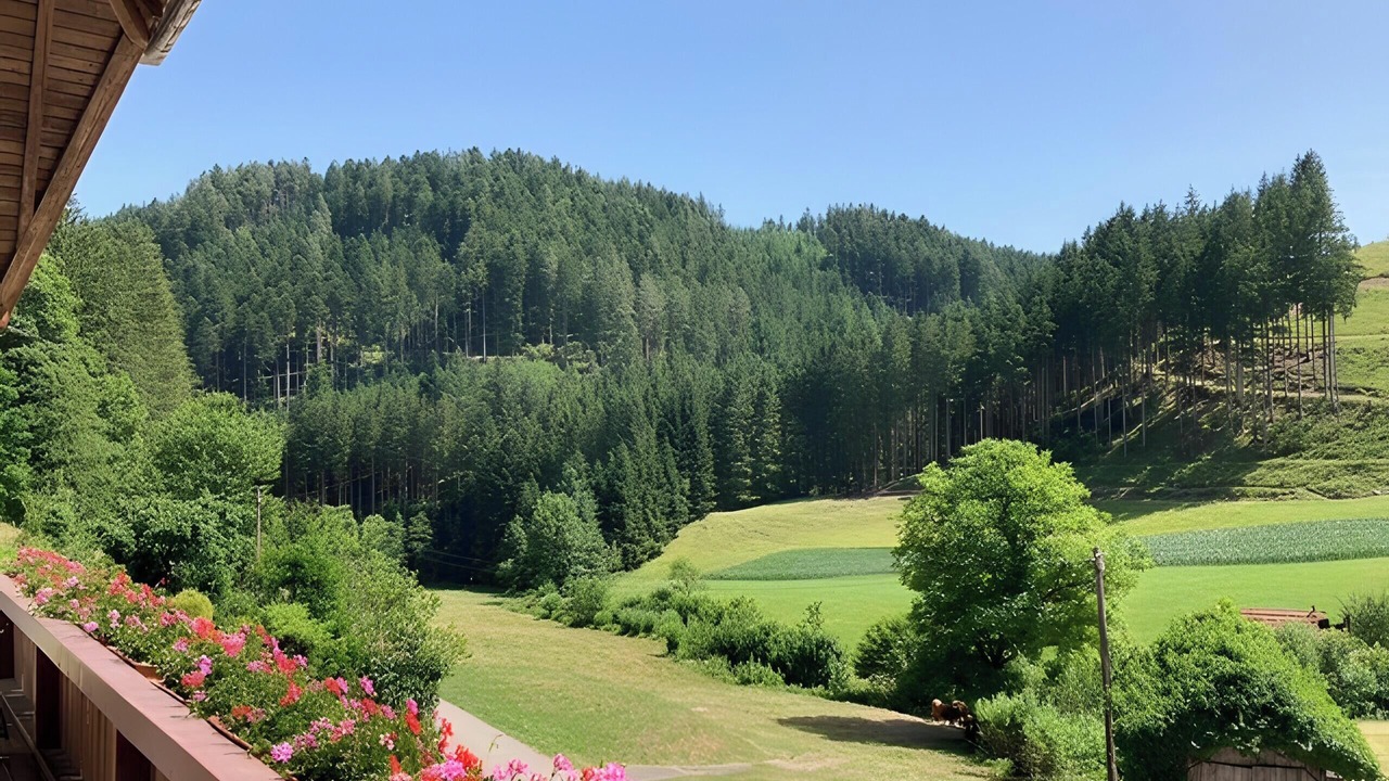 Photo of Outdoor in Hornberg