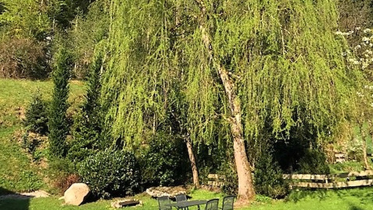 Photo of Outdoor in Hornberg