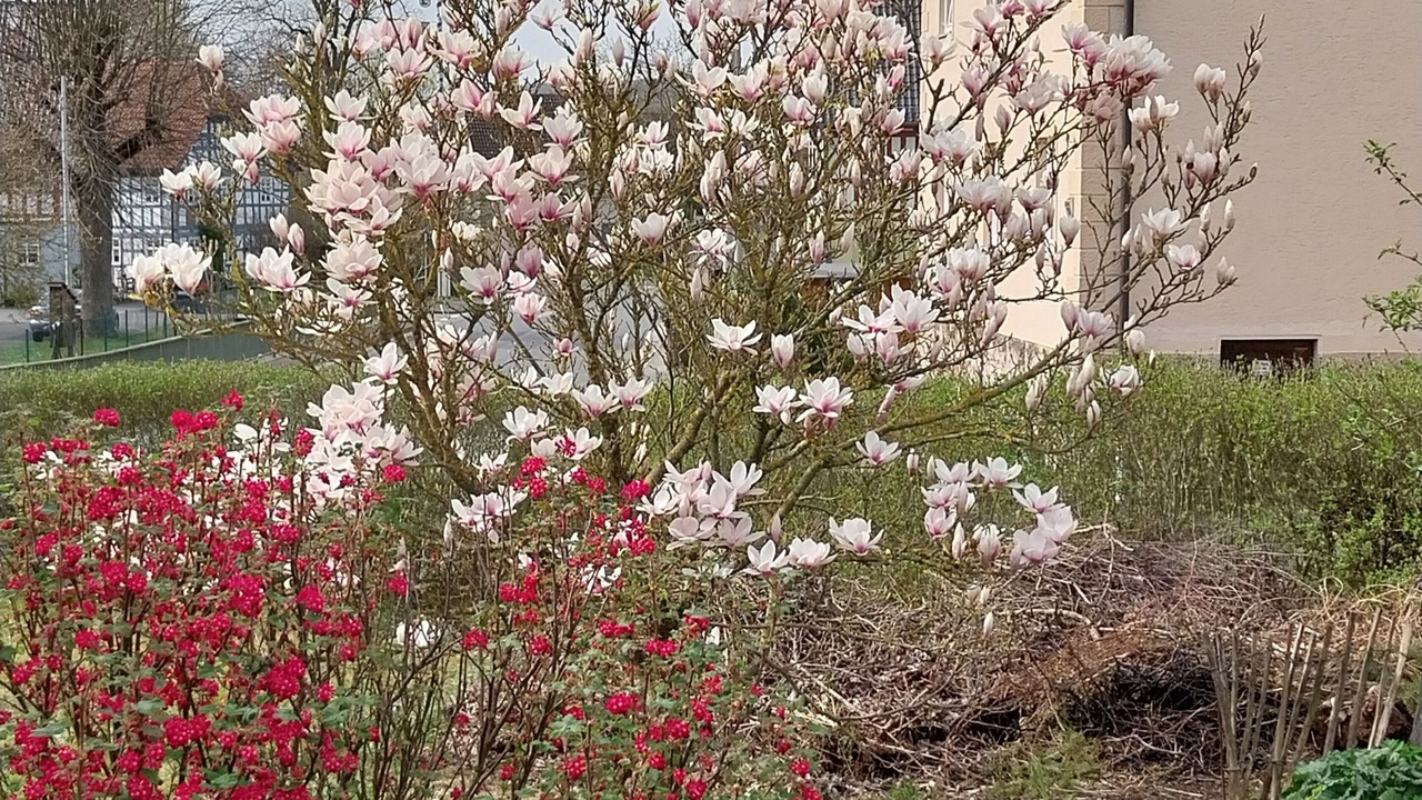 Photo of Outdoor in Staffelstein