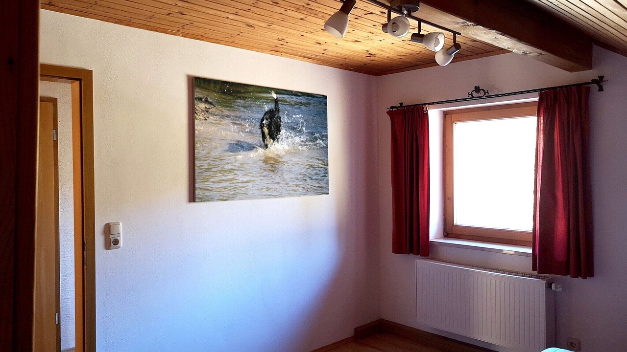 Photo of Others in Kaltental