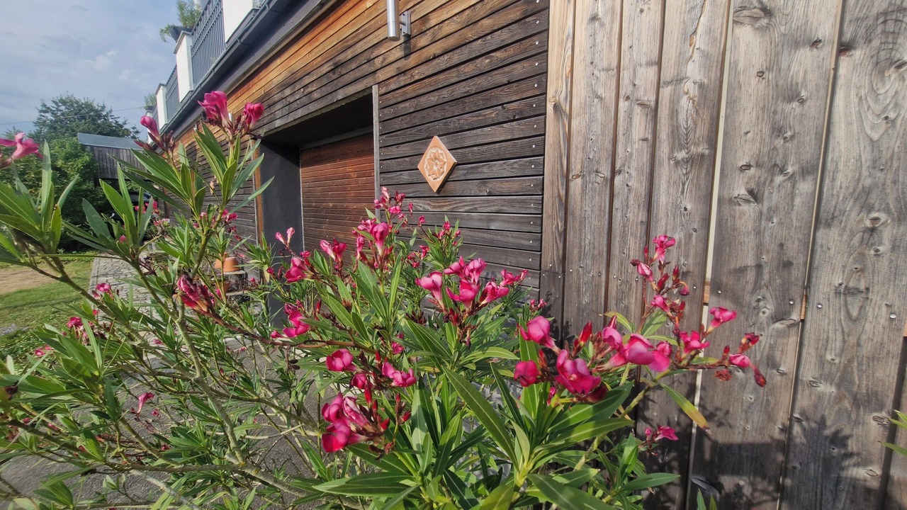 Photo of Outdoor in Cham