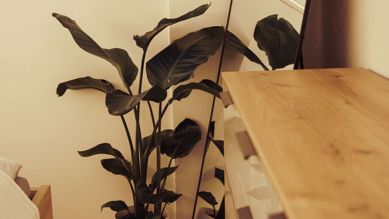 Photo of Bedroom in Stallwang