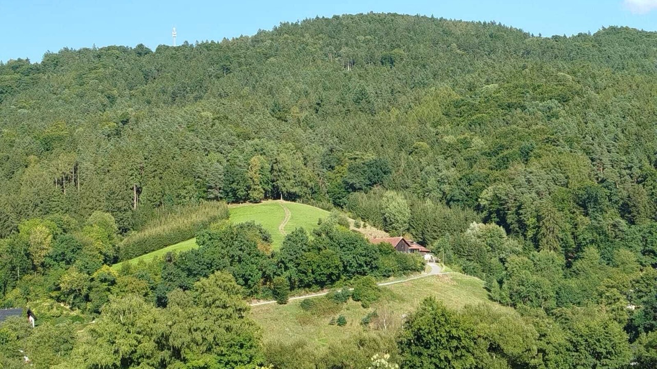 Photo of Others in Stallwang