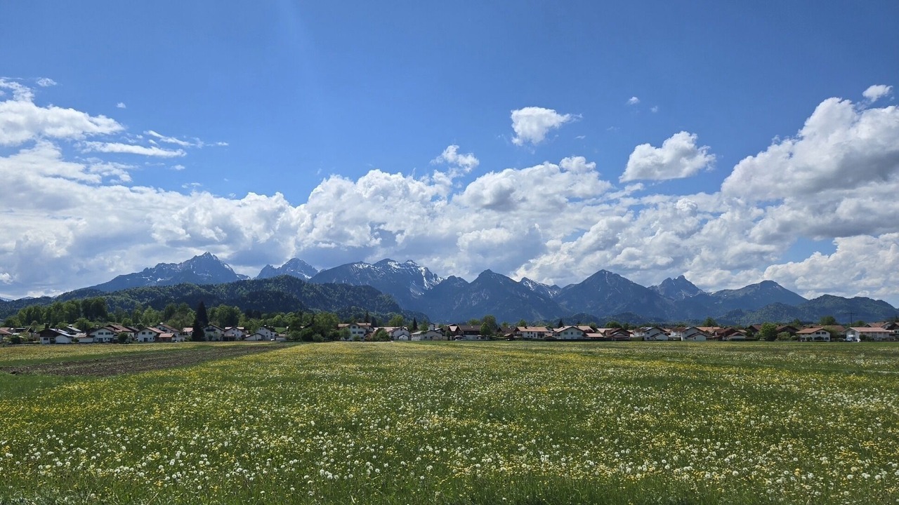Photo of Others in Steingaden
