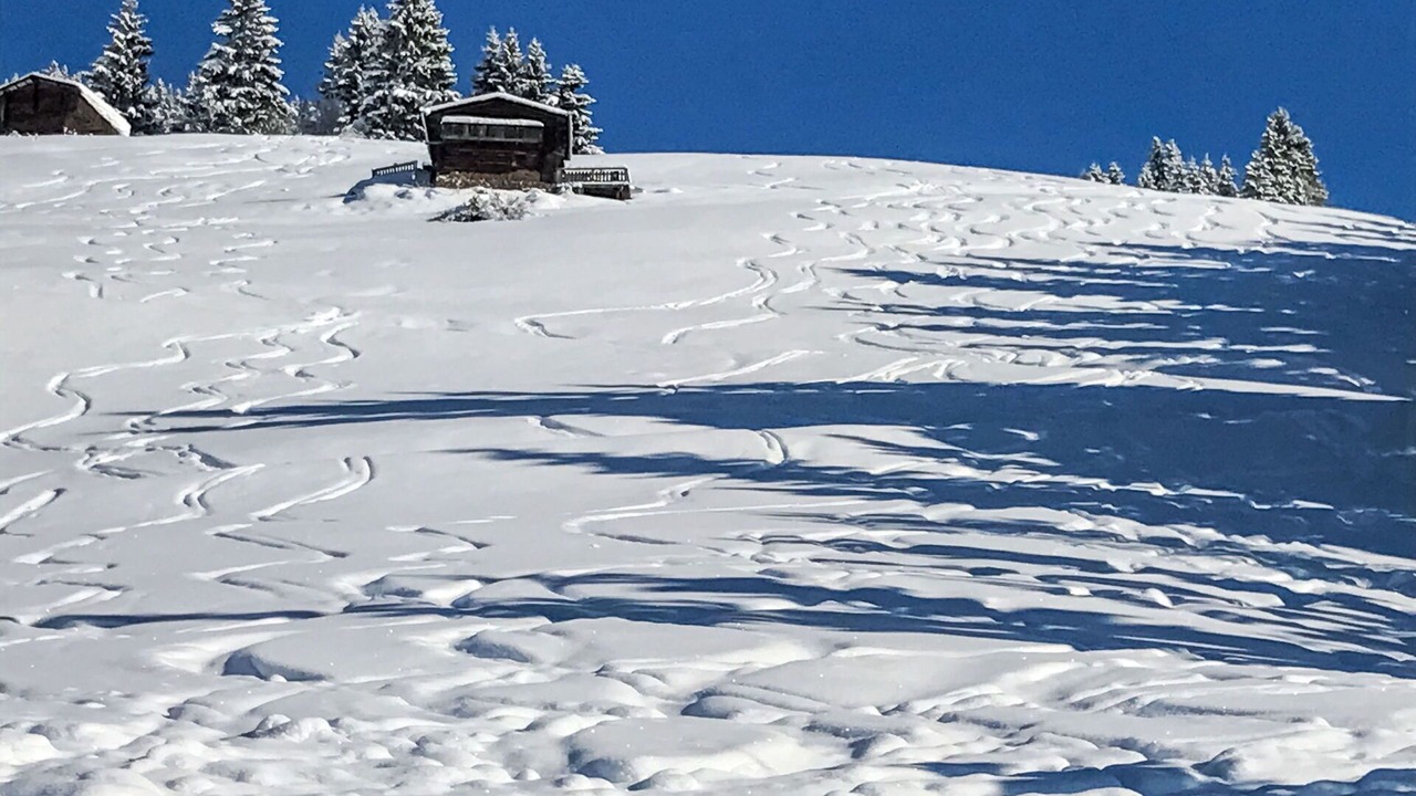 Photo of Others in Distelberg