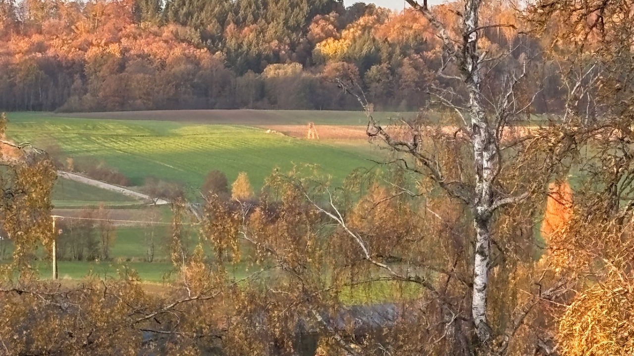 Photo of Others in Aurach