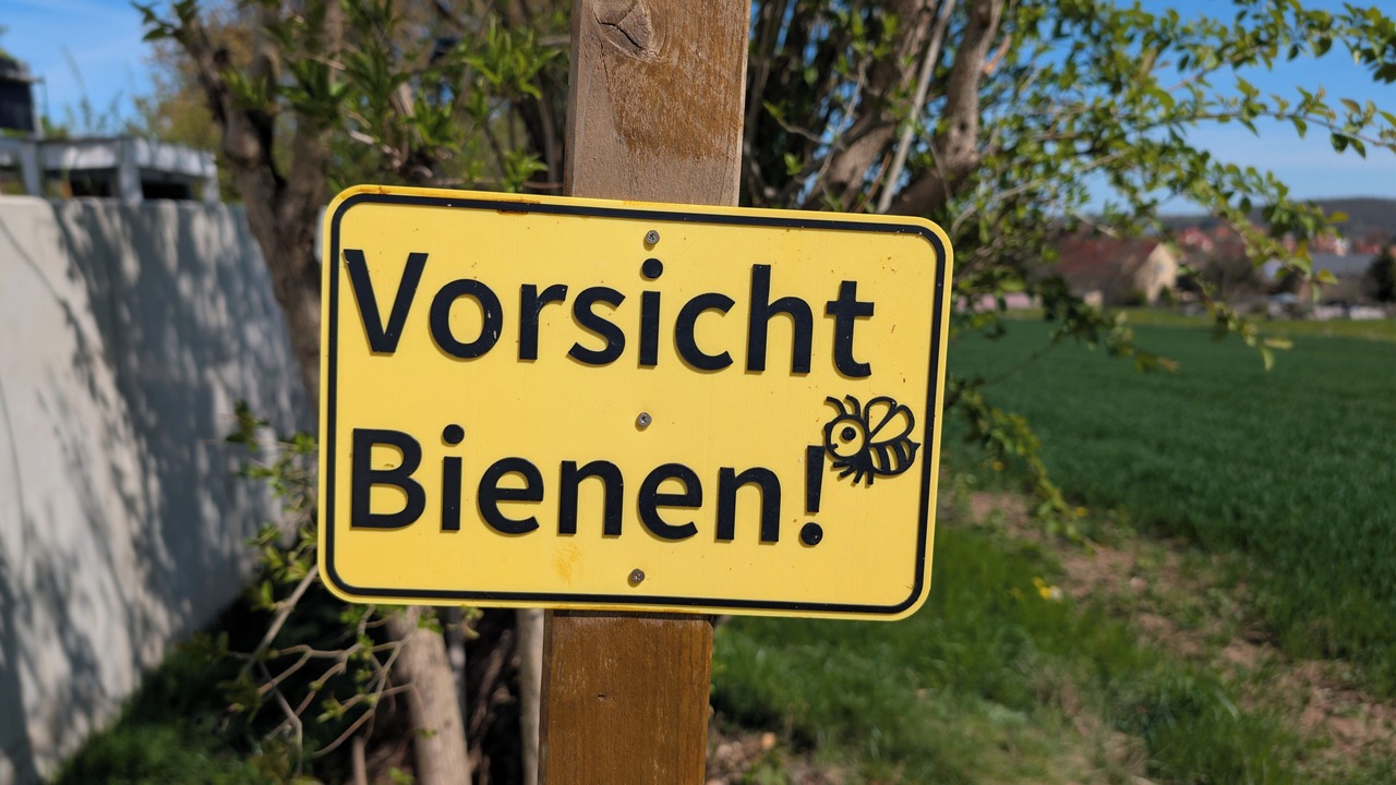 Photo of Outdoor in Kreischa