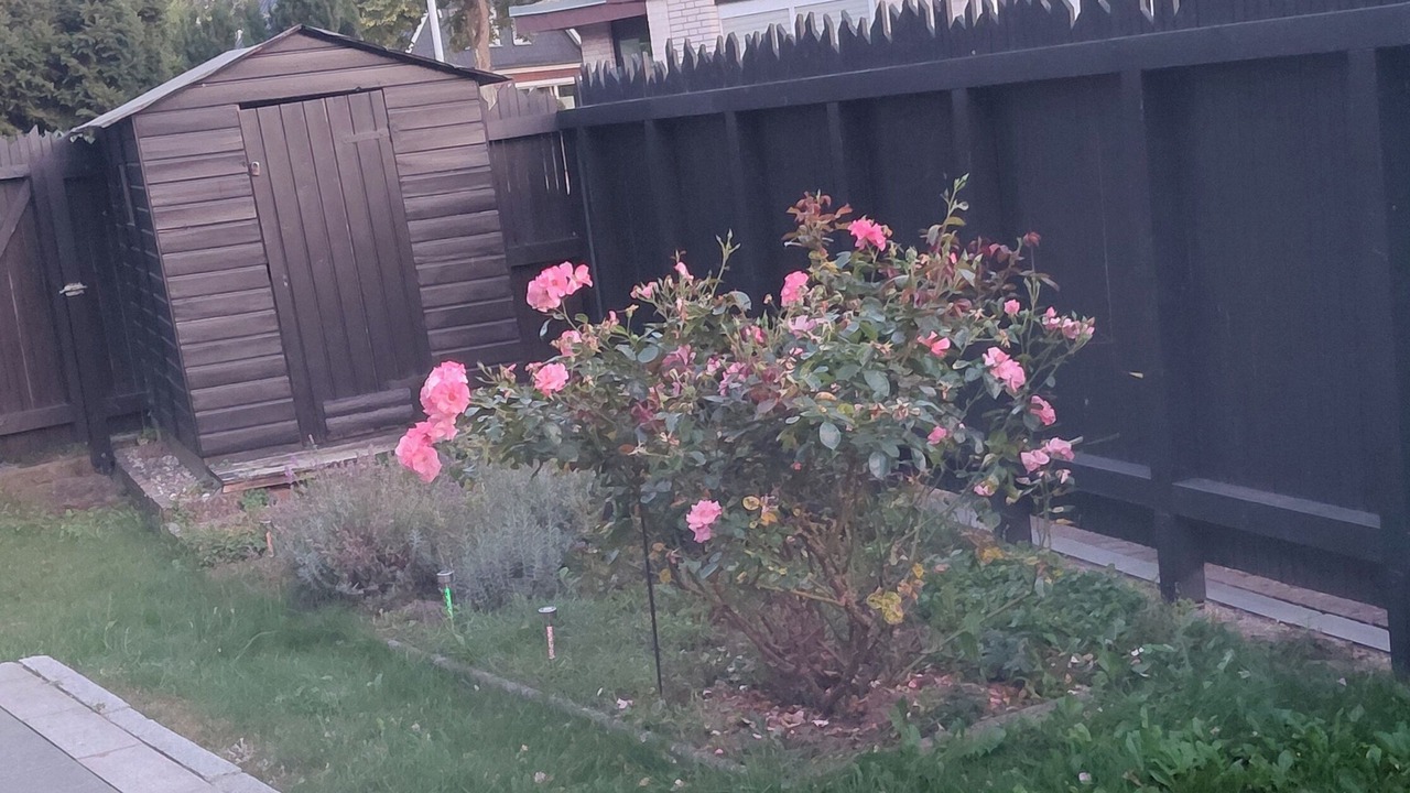 Photo of Outdoor in Dornbreite