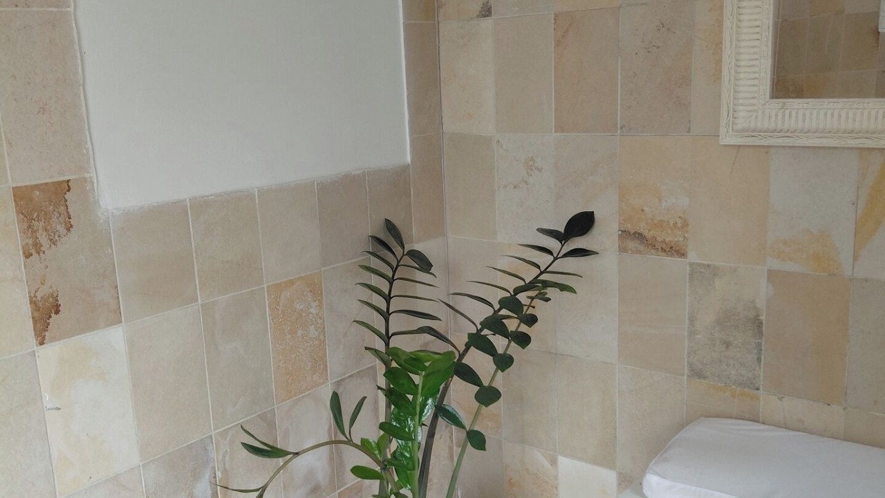 Photo of Bathroom in Dornbreite