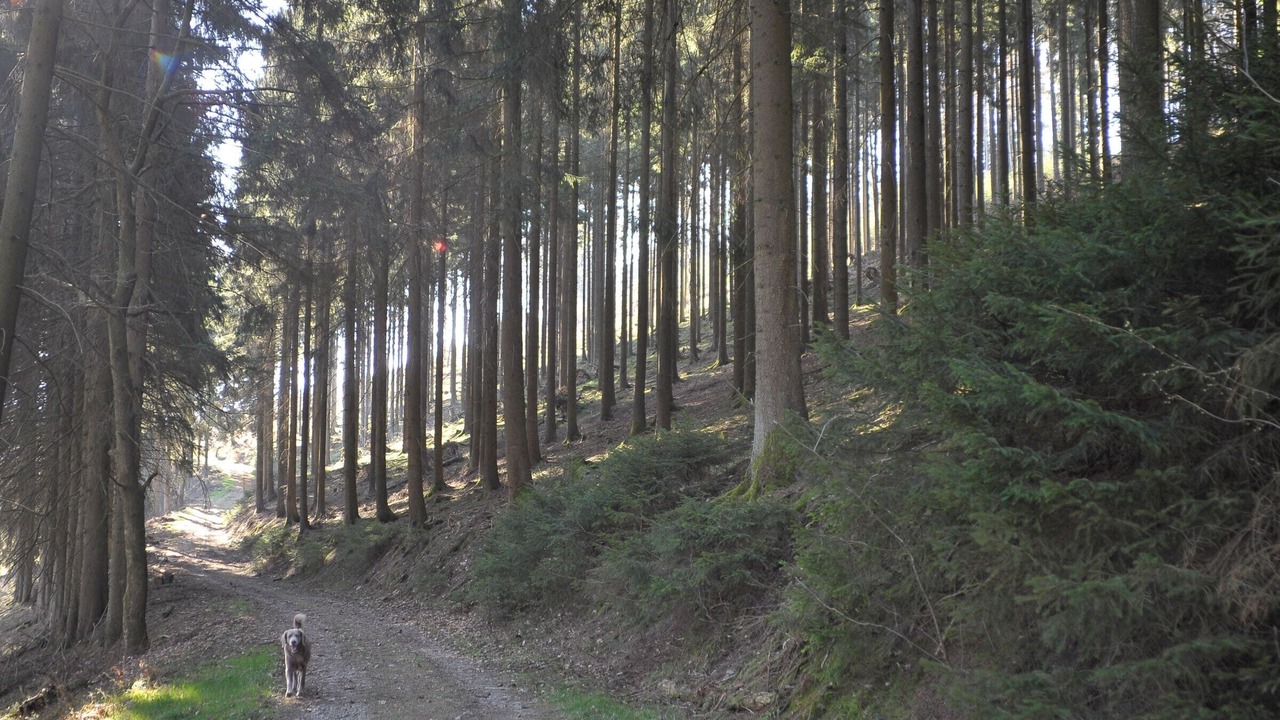 Photo of Others in Kickenbach