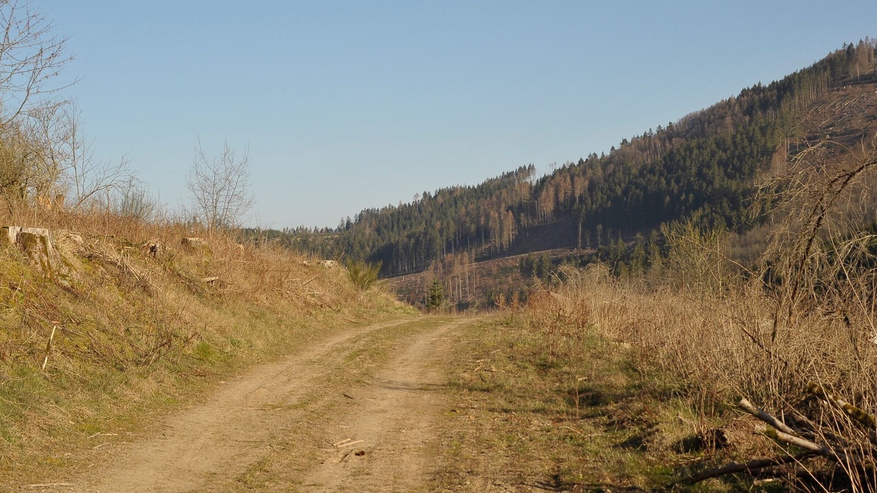 Photo of Others in Kickenbach