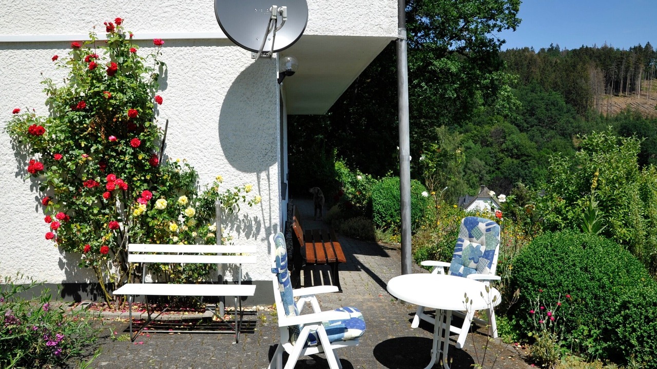 Photo of Patio Balcony in Kickenbach