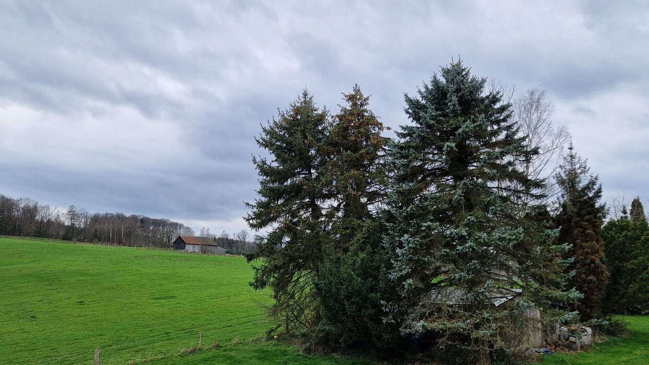 Photo of Others in Moehnesee