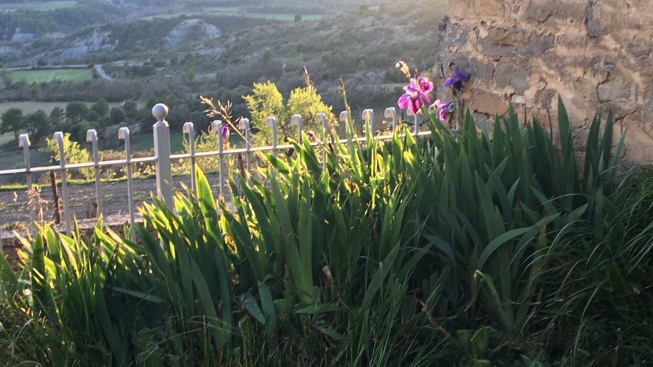 Photo of Outdoor in Coscojuela de Sobrarbe