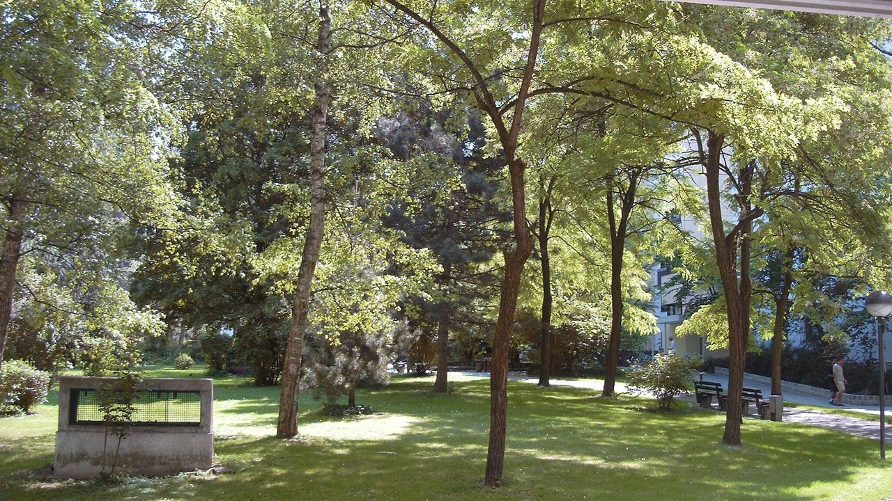Photo of Outdoor in Ramersdorf
