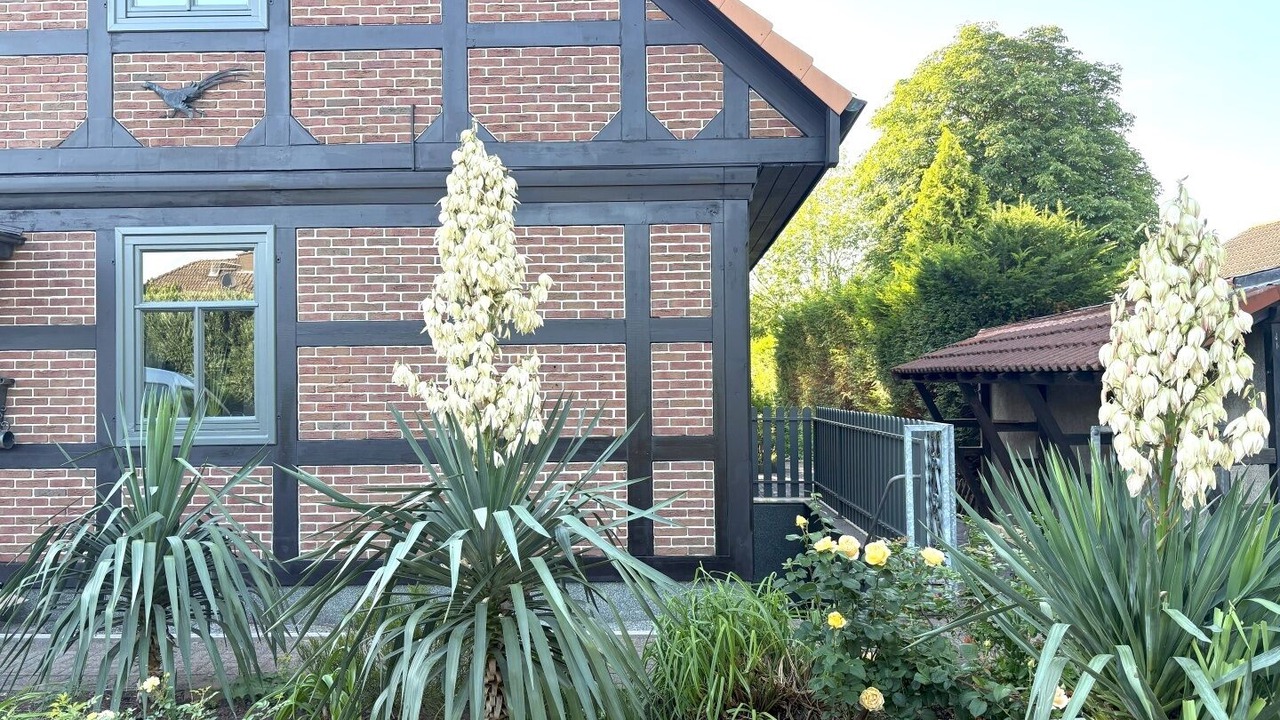 Photo of Outdoor in Ternsche