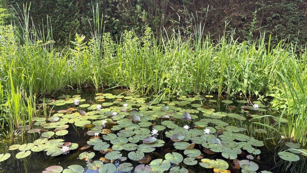 Photo of Outdoor in Ternsche