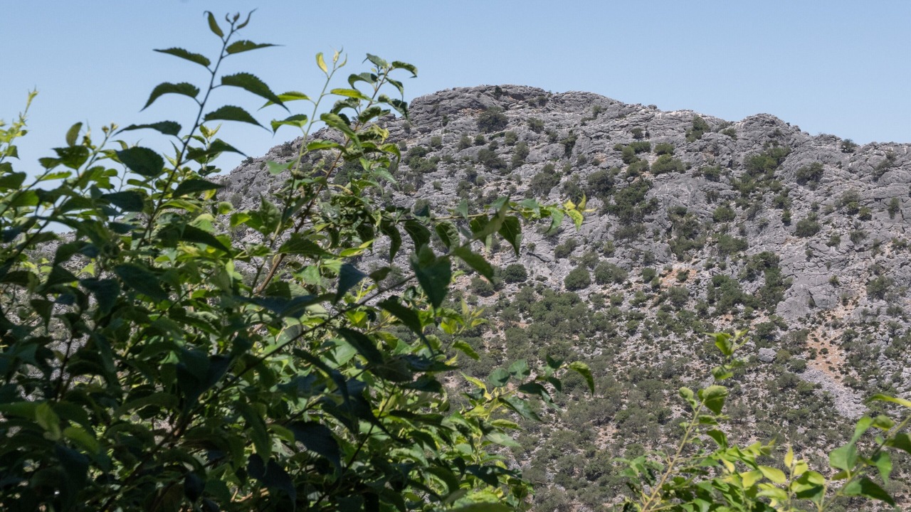 Photo of Others in Benaocaz