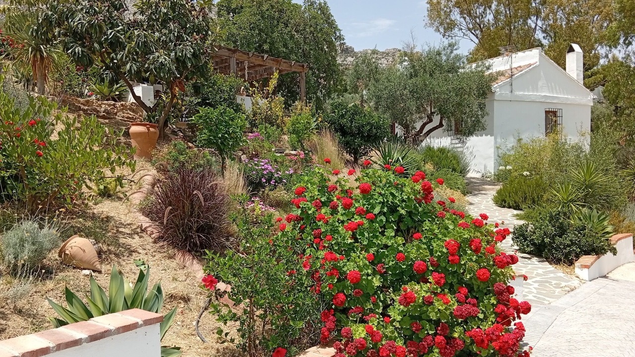 Photo of Outdoor in Valle de Abdalagis