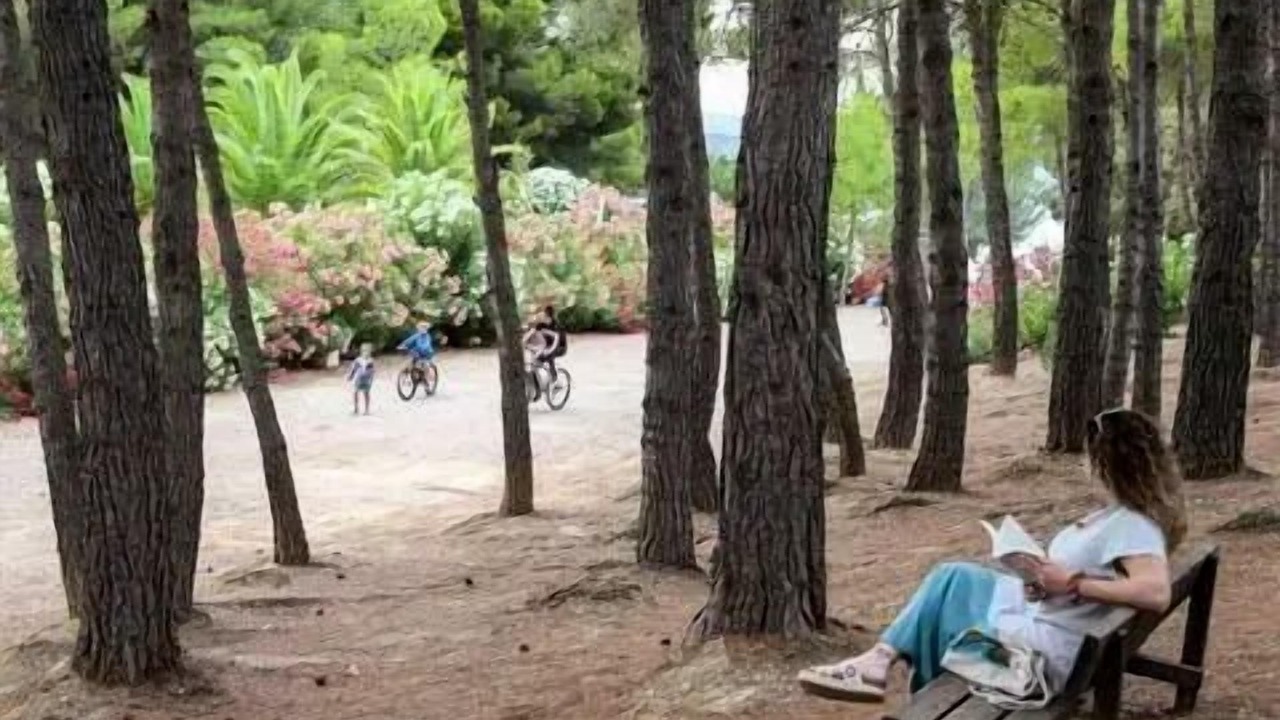 Photo of Others in Caspe