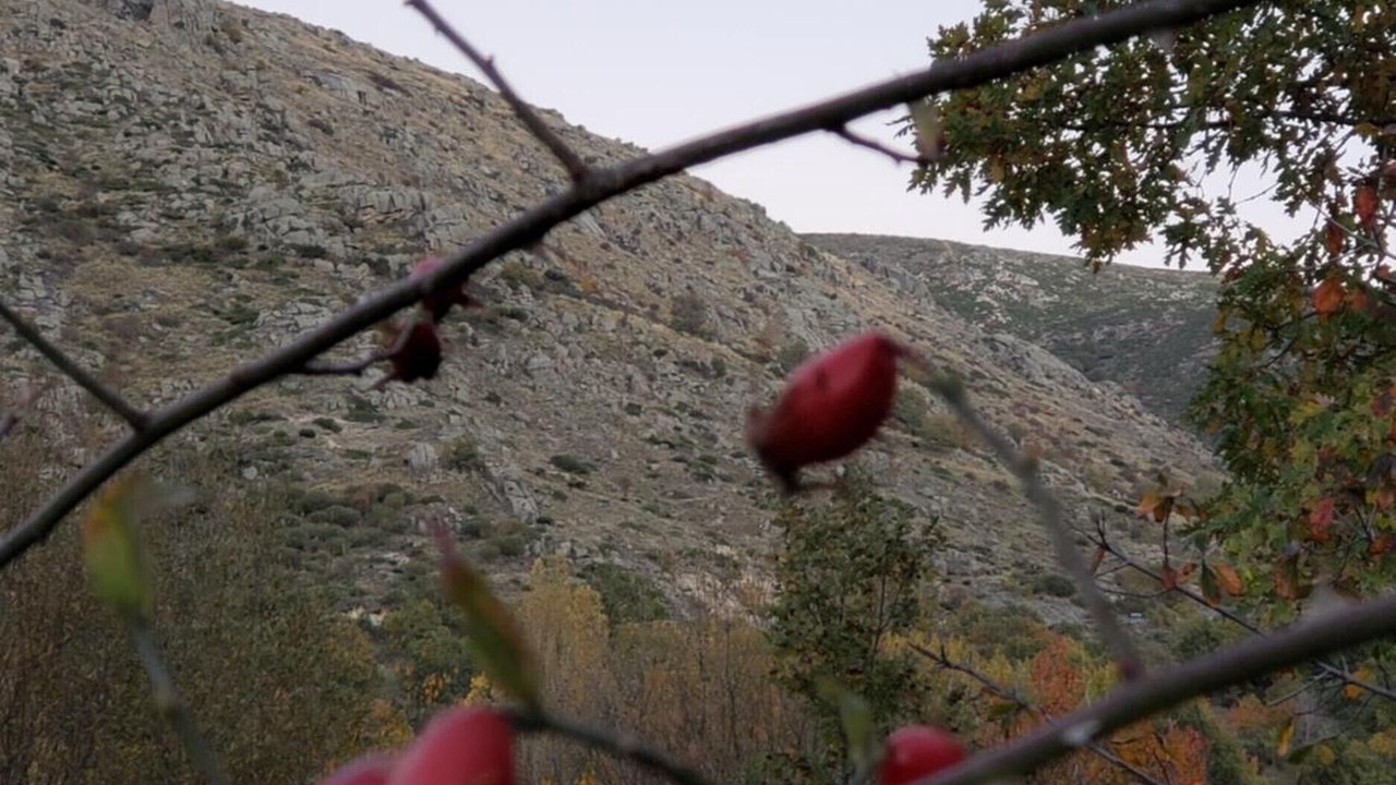 Photo of Others in Navacepedilla de Corneja