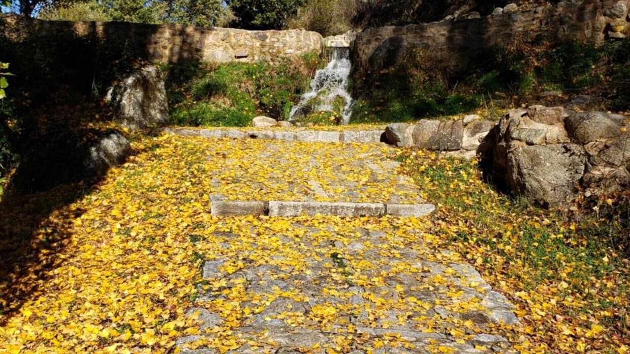 Photo of Outdoor in Navacepedilla de Corneja