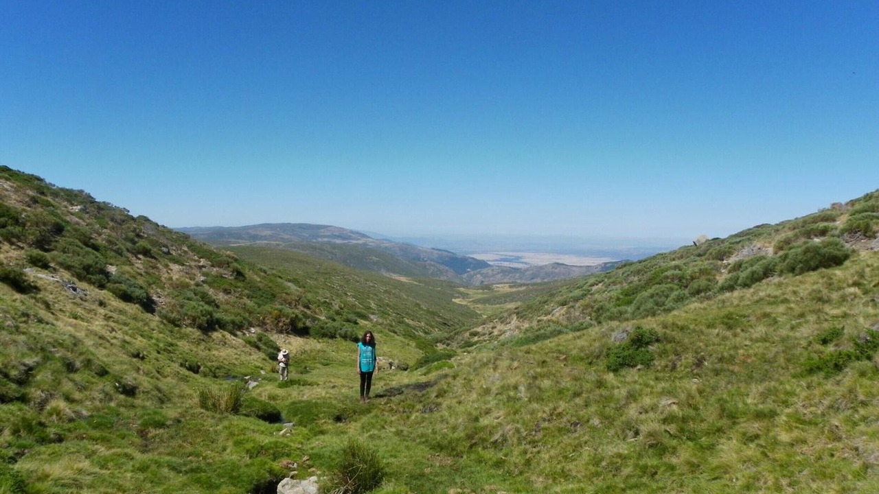 Photo of Others in Navacepedilla de Corneja