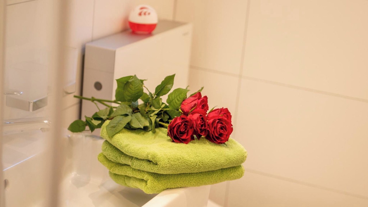 Photo of Bathroom in Saas Almagell