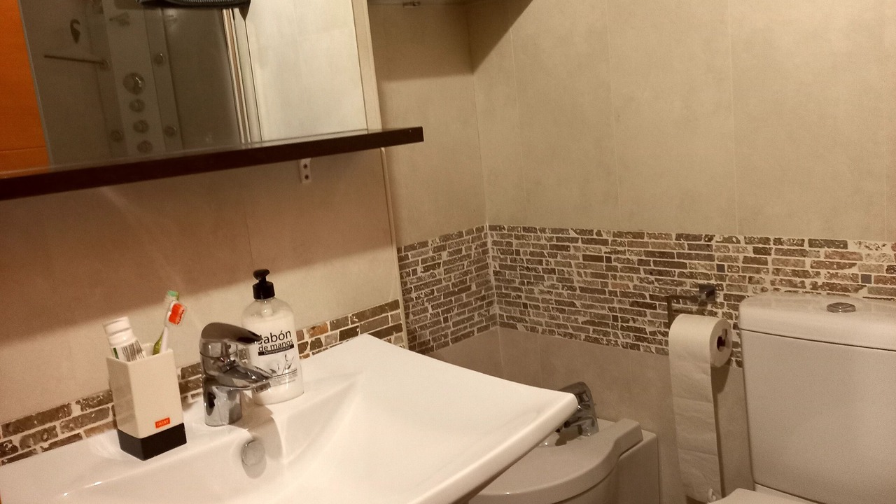 Photo of Bathroom in Panticosa