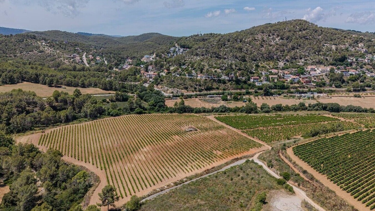 Photo of Outdoor in Sant Pere de Ribes