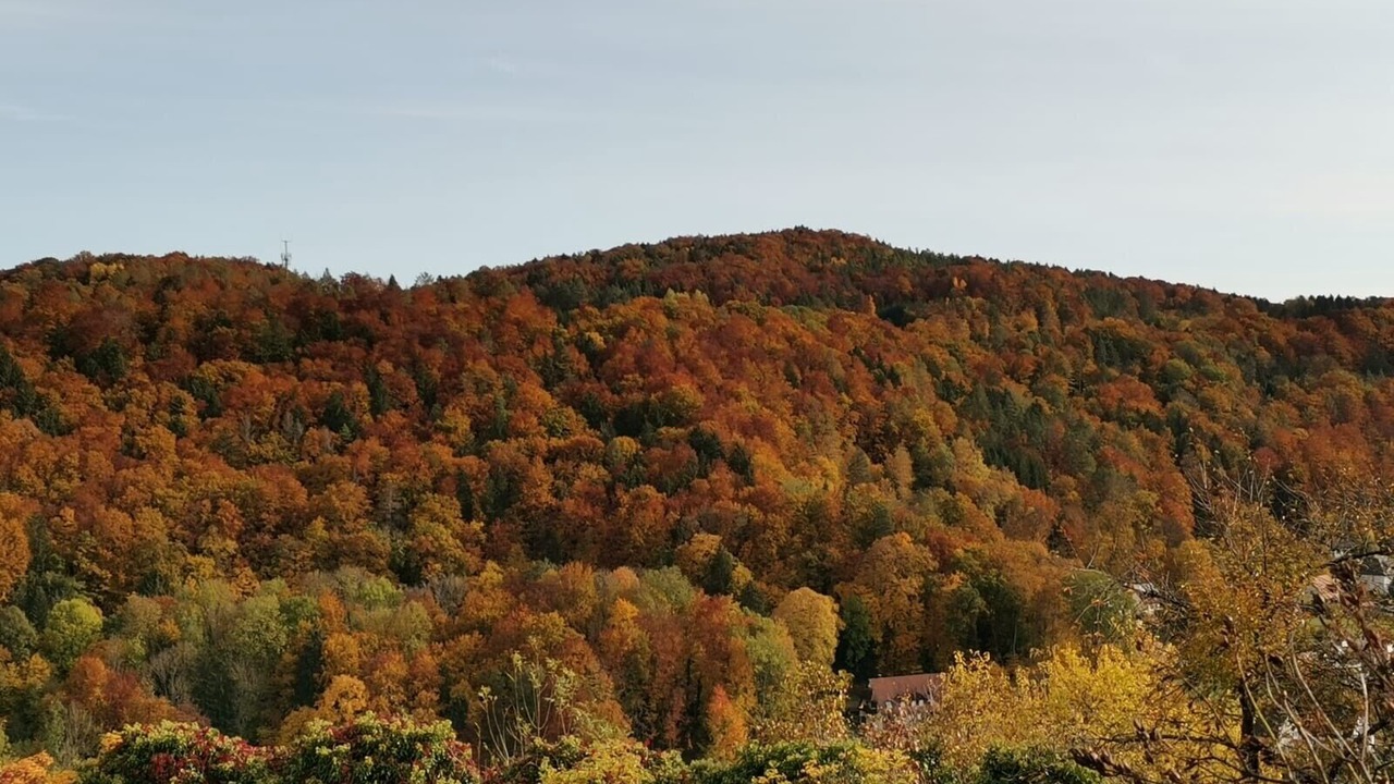 Photo of Others in Graefenberg