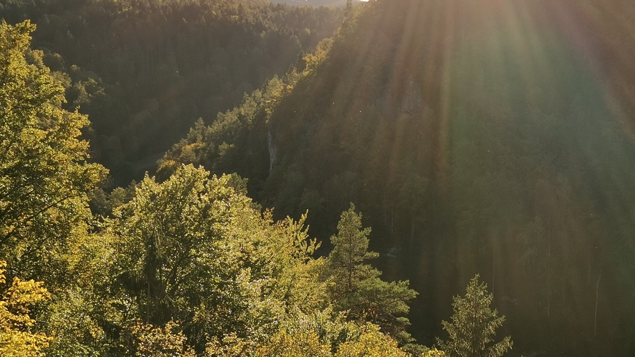 Photo of Others in Graefenberg
