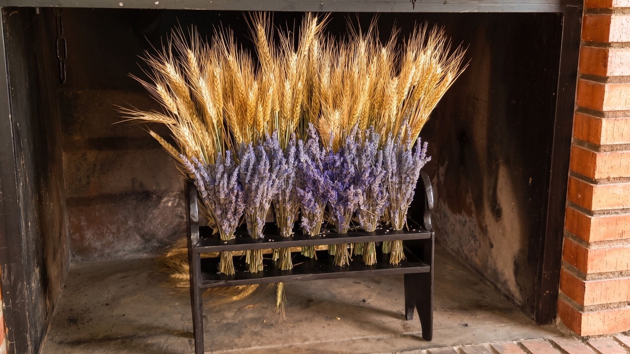 Photo of Others in Ores
