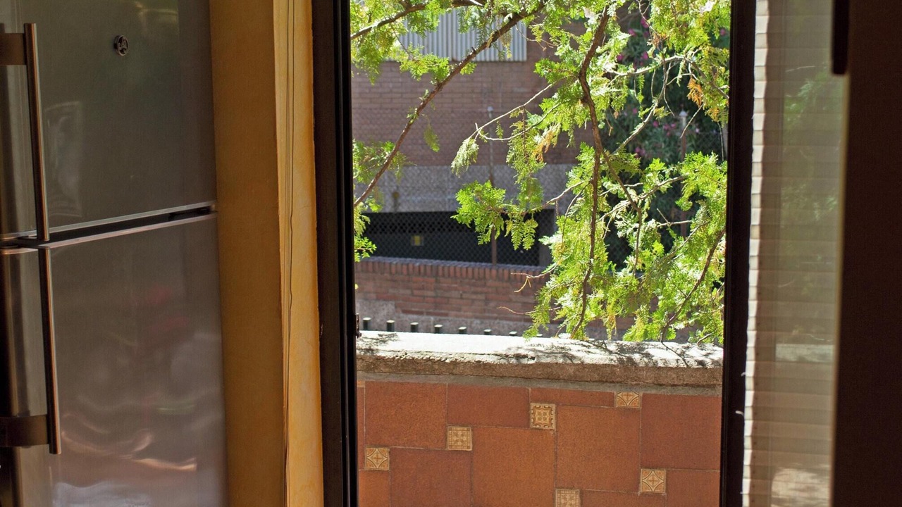 Photo of Outdoor in Nueva Espana