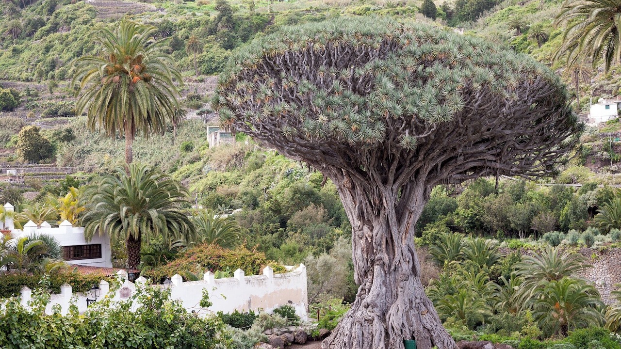 Photo of Outdoor in Santa Barbara