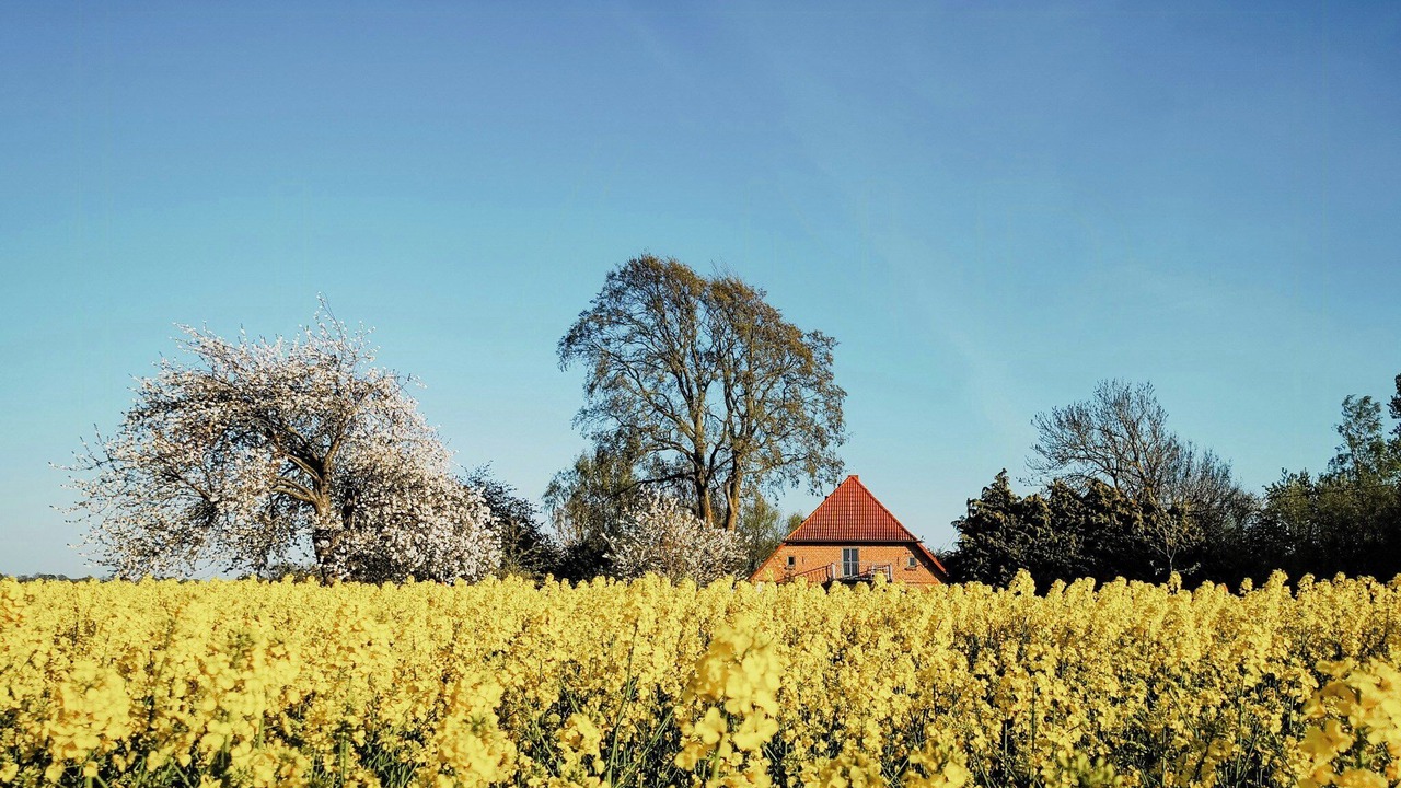 Photo of Others in Ummanz