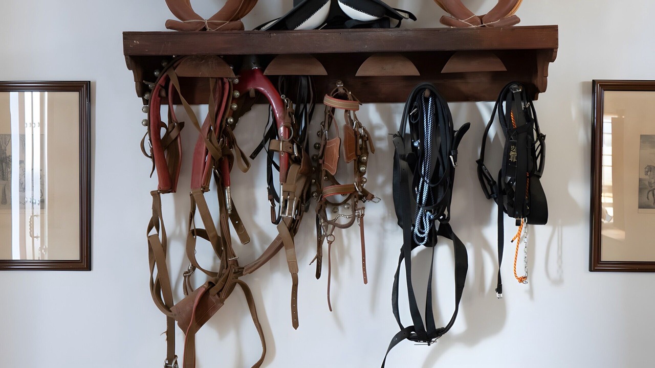 Photo of Others in Antequera