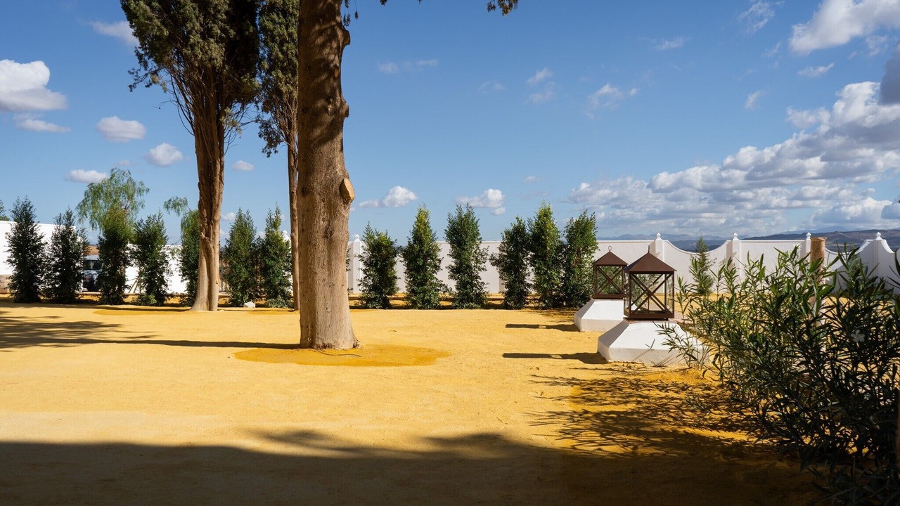Photo of Outdoor in Antequera