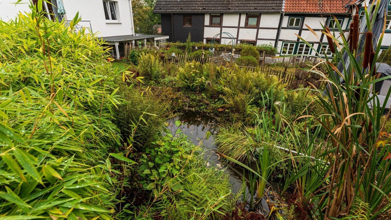 Photo of Outdoor in Moehnesee