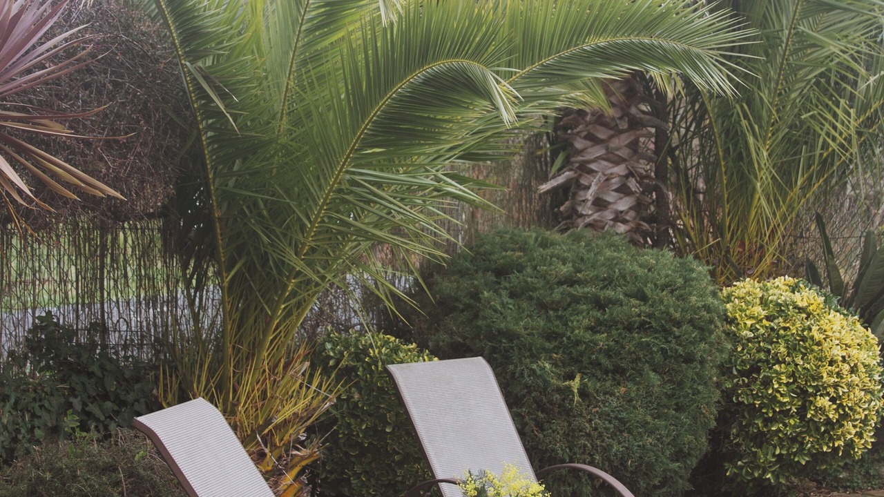 Photo of Patio Balcony in Oroso