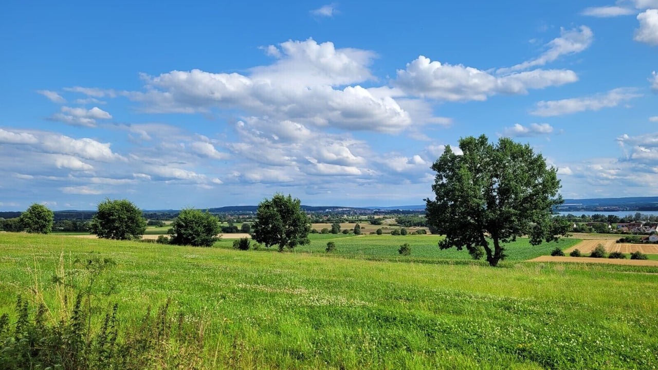 Photo of Others in Muhr am See