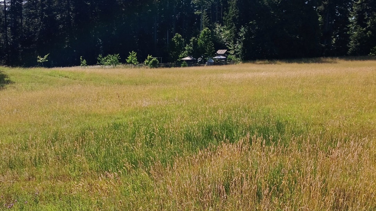 Photo of Others in Lauterbach