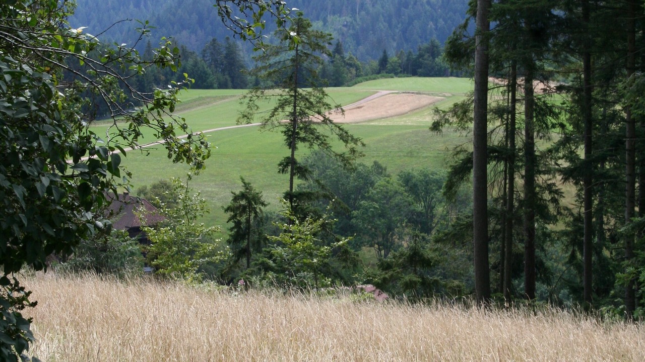Photo of Others in Lauterbach