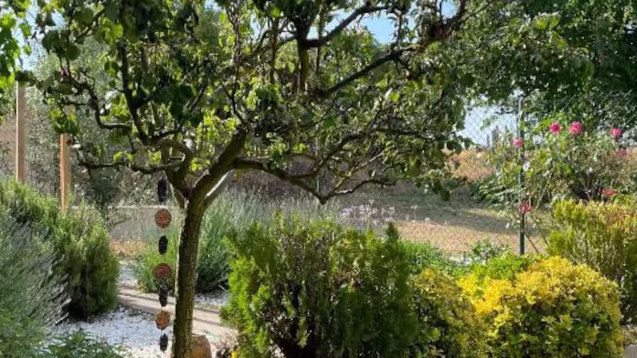 Photo of Outdoor in Ciruena