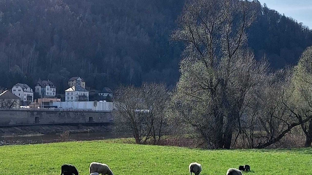 Photo of Others in Konigstein an der Elbe