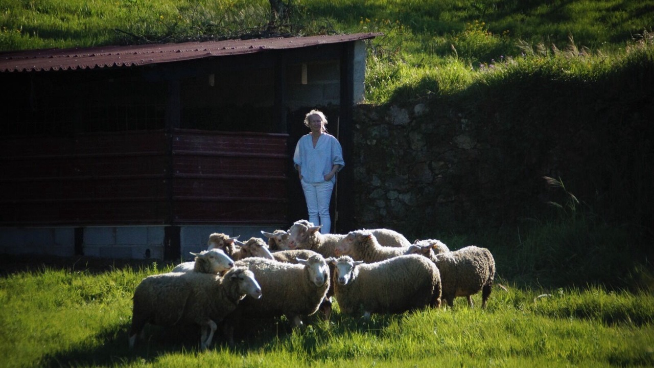 Photo of Others in Arega