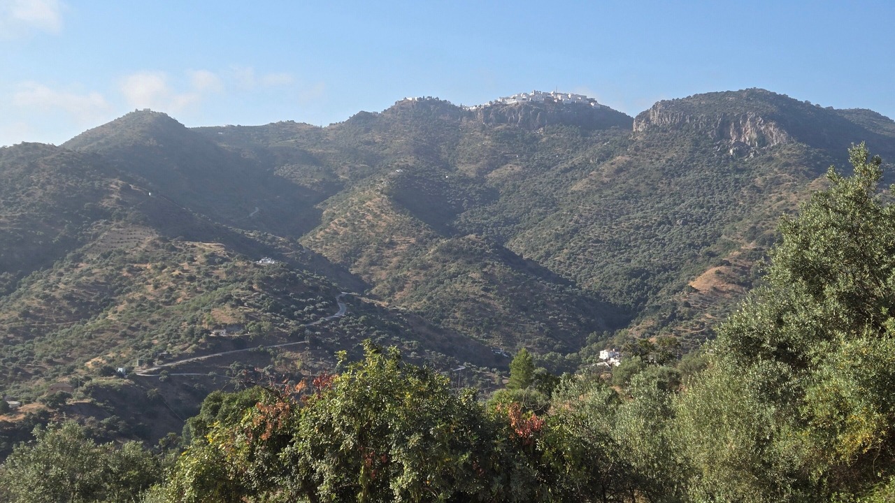 Photo of Others in Comares