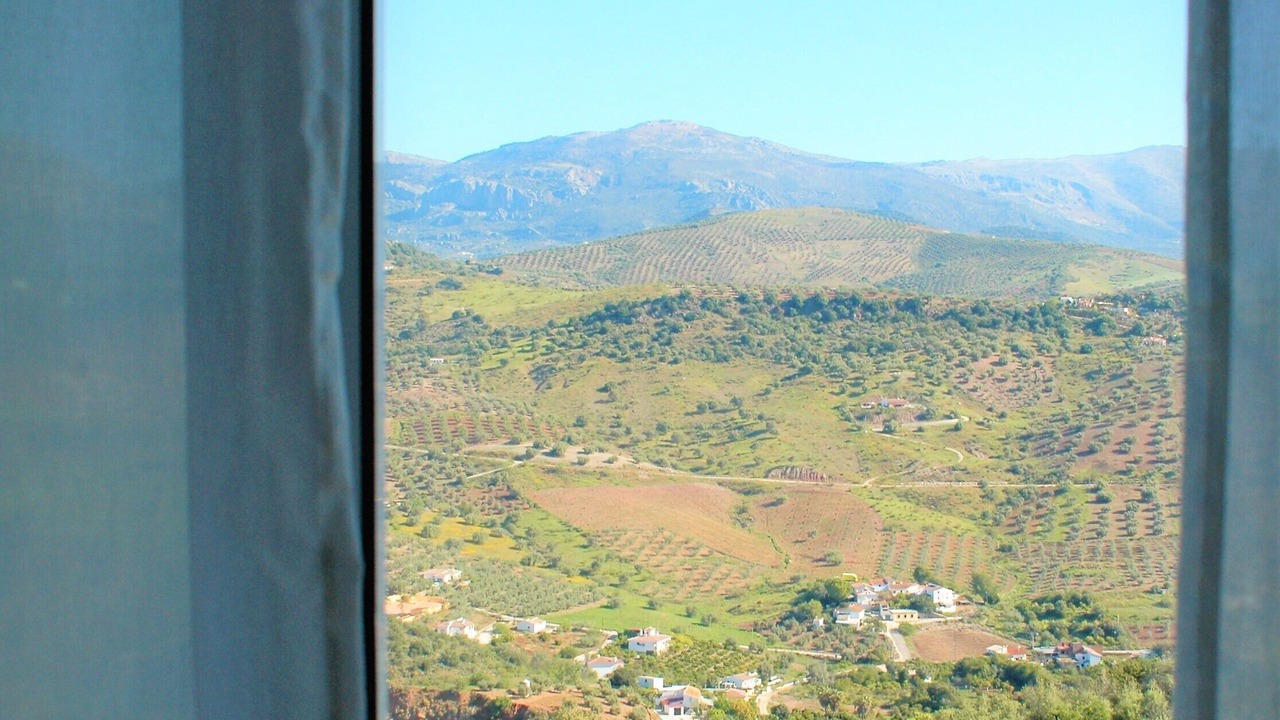Photo of Others in Comares